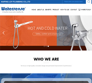 开平市龙宇卫浴有限公司